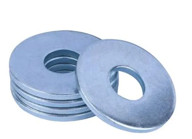 Large Plate Washers